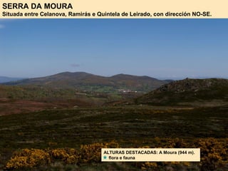 SERRA DA MOURA
Situada entre Celanova, Ramirás e Quintela de Leirado, con dirección NO-SE.
ALTURAS DESTACADAS: A Moura (944 m).
flora e fauna
 
