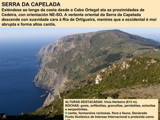 SERRA DA CAPELADA
Esténdese ao longo da costa desde o Cabo Ortegal ata as proximidades de
Cedeira, con orientación NE-SO. A vertente oriental da Serra da Capelada
descende con suavidade cara á Ría de Ortigueira, mentres que a occidental é moi
abrupta e forma altos cantís.
ALTURAS DESTACADAS: Vixía Herbeira (613 m).
ROCHAS: gneis, anfibolitas, granulitas, peridotitas, ecloxitas
e serpentinitas.
cantís, formacións rochosas, flora e fauna. Declarada
Punto Xeolóxico de Interese Internacional e protexida como
 