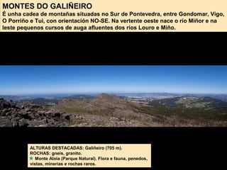 MONTES DO GALIÑEIRO
É unha cadea de montañas situadas no Sur de Pontevedra, entre Gondomar, Vigo,
O Porriño e Tui, con orientación NO-SE. Na vertente oeste nace o río Miñor e na
leste pequenos cursos de auga afluentes dos ríos Louro e Miño.
ALTURAS DESTACADAS: Galiñeiro (705 m).
ROCHAS: gneis, granito.
Monte Aloia (Parque Natural). Flora e fauna, penedos,
vistas, minerias e rochas raros.
 