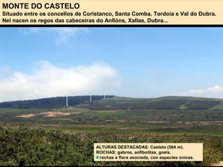 MONTE DO CASTELO
Situado entre os concellos de Coristanco, Santa Comba, Tordoia e Val do Dubra.
Nel nacen os regos das cabeceiras do Anllóns, Xallas, Dubra...
ALTURAS DESTACADAS: Castelo (564 m).
ROCHAS: gabros, anfibolitas, gneis.
rochas e flora asociada, con especies únicas.
 