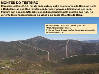 MONTES DO TESTEIRO
Con orientación NE-SO, fan de linde natural entre as comarcas do Deza, ao norte
e Carballiño, ao sur. Son montes con formas vigorosas delimitados por unha
fractura con direción NNE-SSO e moi diseccionados pola erosión dos ríos. Na
vertente leste nacen afluentes do Viñao e na oeste afluentes do Deza.
ALTURAS DESTACADAS: Uceiro (1.003 m)
ROCHAS: granitos e xistos.
flora e fauna, fragas, brañas, fervenzas, etnografía.
Protexida como LIC.
 