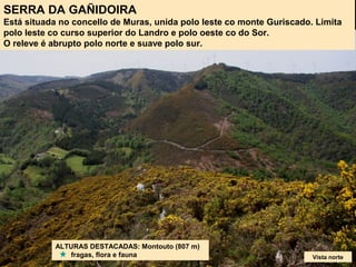 ALTURAS DESTACADAS: Montouto (807 m)
fragas, flora e fauna
SERRA DA GAÑIDOIRA
Está situada no concello de Muras, unida polo leste co monte Guriscado. Limita
polo leste co curso superior do Landro e polo oeste co do Sor.
O releve é abrupto polo norte e suave polo sur.
Vista norte
 