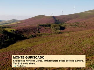 MONTE GURISCADO
Situado ao norte da Carba, limitado polo oeste polo río Landro.
Ten 932 m de altura.
Turbeiras
 