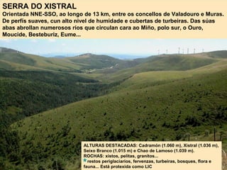 SERRA DO XISTRAL
Orientada NNE-SSO, ao longo de 13 km, entre os concellos de Valadouro e Muras.
De perfís suaves, cun alto nivel de humidade e cubertas de turbeiras. Das súas
abas abrollan numerosos ríos que circulan cara ao Miño, polo sur, o Ouro,
Moucide, Besteburiz, Eume...
ALTURAS DESTACADAS: Cadramón (1.060 m), Xistral (1.036 m),
Seixo Branco (1.015 m) e Chao de Lamoso (1.039 m).
ROCHAS: xistos, pelitas, granitos...
restos periglaciarios, fervenzas, turbeiras, bosques, flora e
fauna... Está protexida como LIC
 