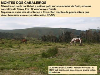 MONTES DOS CABALEIROS
Situados ao norte do Xistral e unidos polo sur aos montes de Buio, entre os
concellos de Cervo, Foz, O Valadouro e Burela.
Separan os vales dos ríos Xunco e Covo. Son montes de pouca altura que
describen unha curva con orientación NE-SO.
ALTURAS DESTACADAS: Pedroso Novo (557 m)
ROCHAS: granitos de dúas micas e algúns xistos.
turbeiras,
 