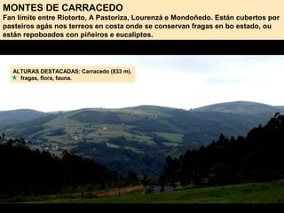 MONTES DE CARRACEDO
Fan límite entre Riotorto, A Pastoriza, Lourenzá e Mondoñedo. Están cubertos por
pasteiros agás nos terreos en costa onde se conservan fragas en bo estado, ou
están repoboados con piñeiros e eucaliptos.
ALTURAS DESTACADAS: Carracedo (833 m).
fragas, flora, fauna.
 
