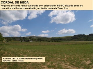 CORDAL DE NEDA
Pequena serra de relevo aplanado con orientación NE-SO situada entre os
concellos da Pastoriza e Abadín, no límite norte da Terra Cha.
ALTURAS DESTACADAS: Monte Neda (798 m).
ROCHAS: xistos, lousas
 