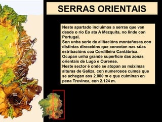 Neste apartado incluímos a serras que van
desde o río Eo ata A Mezquita, no linde con
Portugal.
Son unha serie de aliñacións montañosas con
distintas direccións que conectan nas súas
estribacións coa Cordilleira Cantábrica.
Ocupan unha grande superficie das zonas
orientais de Lugo e Ourense.
Neste sector é onde se atopan as máximas
alturas de Galiza, con numerosos cumes que
se achegan aos 2.000 m e que culminan en
pena Trevinca, con 2.124 m.
SERRAS ORIENTAIS
 