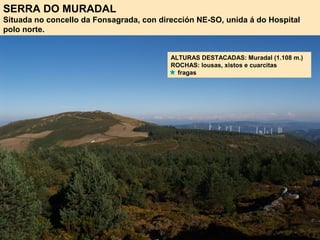 ALTURAS DESTACADAS: Muradal (1.108 m.)
ROCHAS: lousas, xistos e cuarcitas
fragas
SERRA DO MURADAL
Situada no concello da Fonsagrada, con dirección NE-SO, unida á do Hospital
polo norte.
 