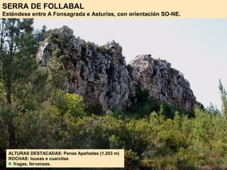 SERRA DE FOLLABAL
Esténdese entre A Fonsagrada e Asturias, con orientación SO-NE.
ALTURAS DESTACADAS: Penas Apañadas (1.203 m)
ROCHAS: lousas e cuarcitas
fragas, fervenzas.
 