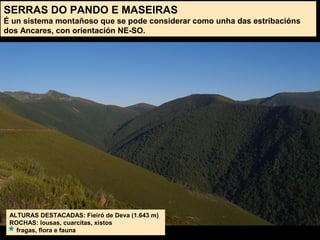 SERRAS DO PANDO E MASEIRAS
É un sistema montañoso que se pode considerar como unha das estribacións
dos Ancares, con orientación NE-SO.
ALTURAS DESTACADAS: Fieiró de Deva (1.643 m)
ROCHAS: lousas, cuarcitas, xistos
fragas, flora e fauna
 