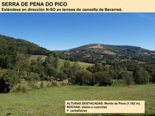 ALTURAS DESTACADAS: Monte da Pena (1.182 m).
ROCHAS: xistos e cuarcitas
carballeiras
SERRA DE PENA DO PICO
Esténdese en dirección N-SO en terreos do concello de Becerreá.
 