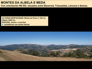 MONTES DA ALBELA E MEDA
Con orientación NE-SO, situados entre Becerreá, Triacastela, Láncara e Samos.
ALTURAS DESTACADAS: Monte da Pena (1.182 m),
Albela (1063 m).
ROCHAS: xistos e cuarcitas
carballeiras nas partes baixas
 