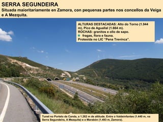 SERRA SEGUNDEIRA
Situada maioritariamente en Zamora, con pequenas partes nos concellos da Veiga
e A Mezquita.
Tunel no Portelo da Canda, a 1.262 m de altitude. Entre o Valdeinfantes (1.440 m, na
Serra Segundeira, A Mezquita) e o Marabón (1.493 m, Zamora).
ALTURAS DESTACADAS: Alto do Torno (1.944
m), Pico de Aguallal (1.664 m).
ROCHAS: granitos e ollo de sapo.
fragas, flora e fauna.
Protexida no LIC “Pena Trevinca”.
 