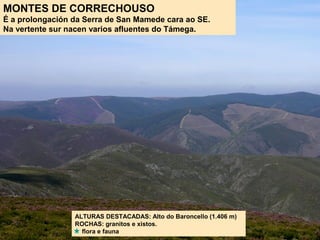 MONTES DE CORRECHOUSO
É a prolongación da Serra de San Mamede cara ao SE.
Na vertente sur nacen varios afluentes do Támega.
ALTURAS DESTACADAS: Alto do Baroncello (1.406 m)
ROCHAS: granitos e xistos.
flora e fauna
 
