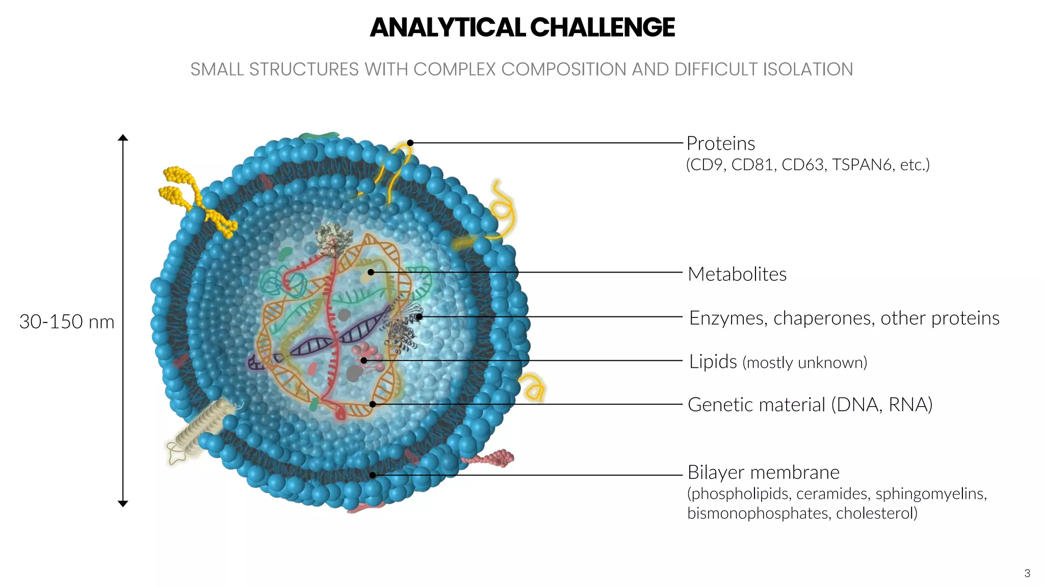 Investigating the Lipidome of Small Extracellular Vesicles | PDF