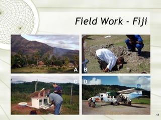 Field Work - Fiji A B C D 
