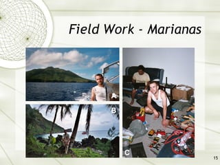 Field Work - Marianas A C B 