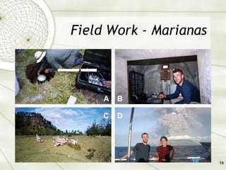 Field Work - Marianas A B C D 