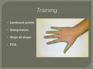 Landmark points Interpolation Align all shape PCA
