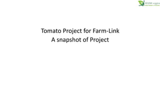 Tomato Project for Farm-Link
A snapshot of Project
 