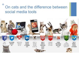+
On cats and the difference between
social media tools
 