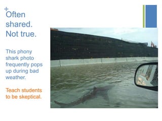 +
Often
shared.
Not true.
This phony
shark photo
frequently pops
up during bad
weather.
Teach students
to be skeptical.
 