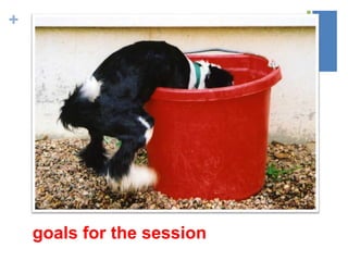 +
goals for the session
 