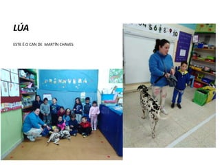 LÚA
ESTE É O CAN DE MARTÍN CHAVES
 