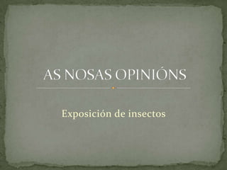 Exposición de insectos AS NOSAS OPINIÓNS 