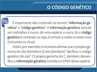 O CÓDIGO GENÉTICO
 