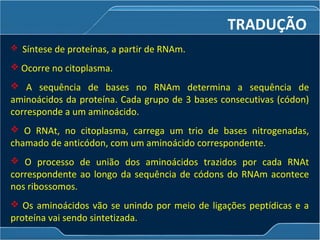 TRADUÇÃO
 Síntese de proteínas, a partir de RNAm.
 Ocorre no citoplasma.
 A sequência de bases no RNAm determina a sequência de
aminoácidos da proteína. Cada grupo de 3 bases consecutivas (códon)
corresponde a um aminoácido.
 O RNAt, no citoplasma, carrega um trio de bases nitrogenadas,
chamado de anticódon, com um aminoácido correspondente.
 O processo de união dos aminoácidos trazidos por cada RNAt
correspondente ao longo da sequência de códons do RNAm acontece
nos ribossomos.
 Os aminoácidos vão se unindo por meio de ligações peptídicas e a
proteína vai sendo sintetizada.
 