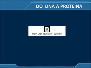 From DNA to protein 3D.wmv
 