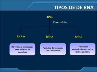 DNA
RNAm RNAr RNAt
TranscriçãoTranscrição
Participa da formação
dos ribossomos
Participa da formação
dos ribossomos
Transporta
aminoácidos durante a
síntese protéica
Transporta
aminoácidos durante a
síntese protéica
TIPOS DE DE RNA
RNAm
Direciona a informação
para a síntese de
proteínas
Direciona a informação
para a síntese de
proteínas
 