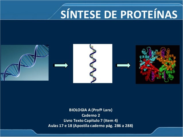 sintese de proteinas ppt Duplicação do dna & síntese de proteínas ppt video online carregar.