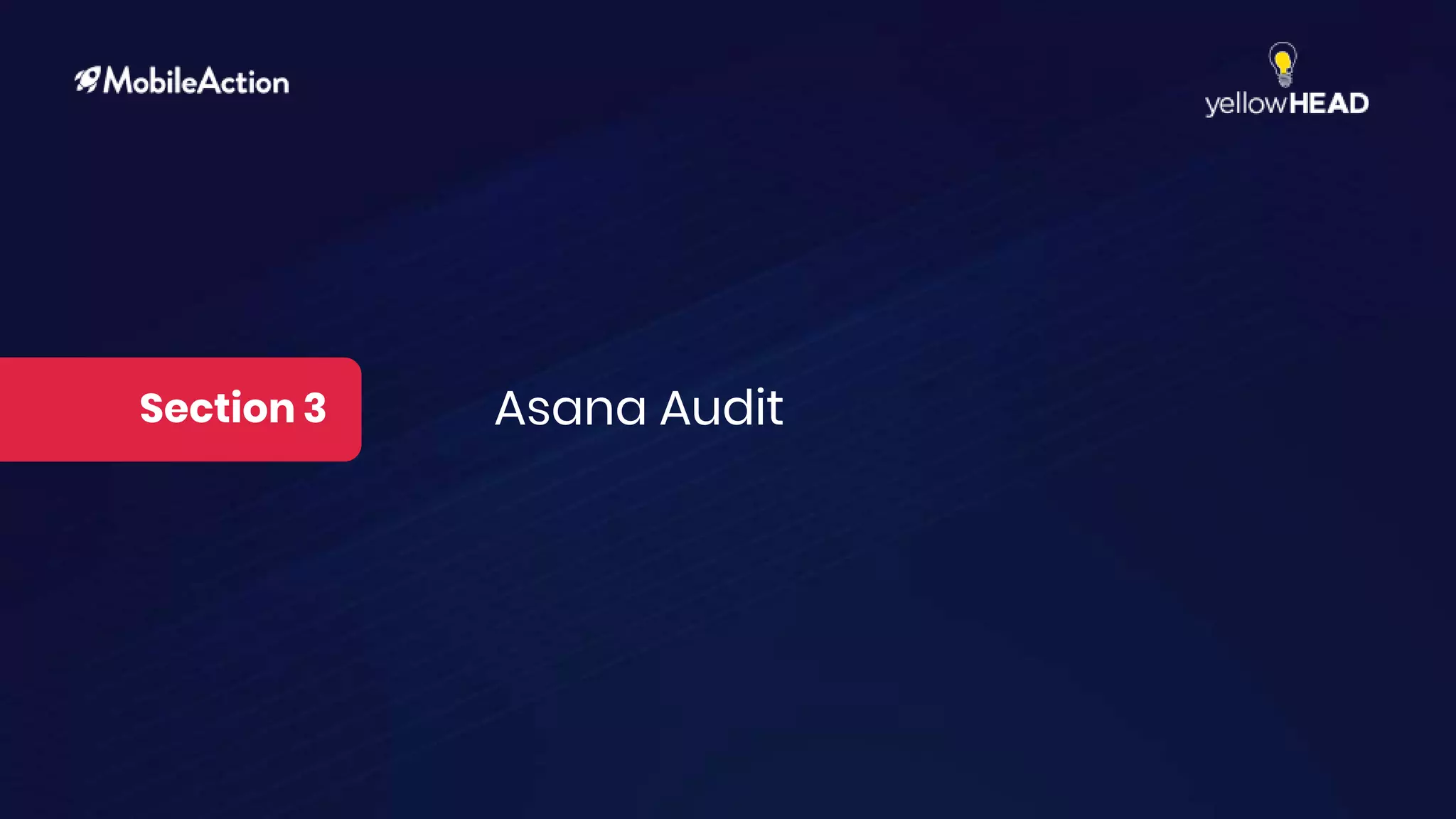 Section 3 Asana Audit
 