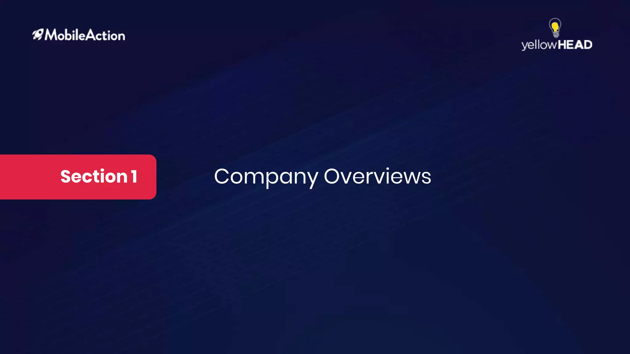 Section 1 Company Overviews
 