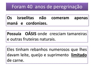 Os israelitas não comeram apenas
maná e cordonizes.
Possuía OÁSIS onde cresciam tamareiras
e outras fruteiras naturais.
Foram 40 anos de peregrinação
Eles tinham rebanhos numerosos que lhes
davam leite, queijo e suprimento limitado
de carne.
 