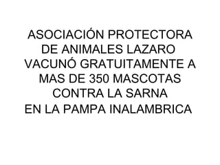 ASOCIACIÓN PROTECTORA DE ANIMALES LAZARO  VACUNÓ GRATUITAMENTE A MAS DE 350 MASCOTAS  CONTRA LA SARNA  EN LA PAMPA INALAMBRICA   