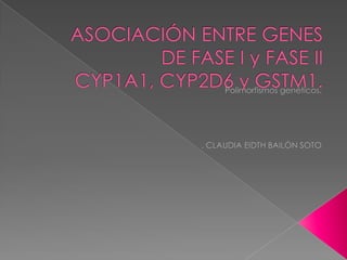 ASOCIACIÓN ENTRE GENES DE FASE I y FASE IICYP1A1, CYP2D6 y GSTM1. Polimorfismos genéticos. . CLAUDIA EIDTH BAILÓN SOTO 