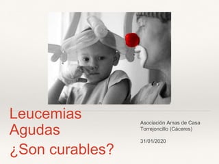 Leucemias
Agudas
¿Son curables?
Asociación Amas de Casa
Torrejoncillo (Cáceres)
31/01/2020
 