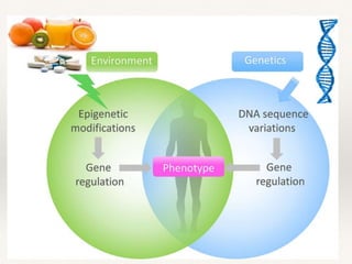 Epigenética
❖ Es el nexo entre naturaleza y educación, entre los genes y nuestro
entorno
❖ Los genes pueden ser cambiados por nuestro estilo de vida y todo lo
demás...
❖ “Las enfermedades, en muchos casos, no las causan los genes si no el
entorno al interactuar con ellos...” David Leslie
 