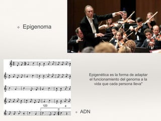 ❖ Epigenoma
❖ ADN
Epigenética es la forma de adaptar
el funcionamiento del genoma a la
vida que cada persona lleva"
 