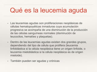 Qué es la leucemia aguda
• Las leucemias agudas son proliferaciones neoplásicas de
células hematopoyéticas inmaduras cuya acumulación
progresiva se acompaña de una disminución de la producción
de las células sanguíneas normales (disminución de
leucocitos, hematíes y plaquetas).
• Dentro de las leucemias agudas existen dos grandes grupos,
dependiendo del tipo de célula que prolifera (leucemia
linfoblástica si la célula neoplásica tiene un origen linfoide, o
leucemia mieloblástica si la célula neoplásica es de origen
mieloide).
• También pueden ser agudas y crónicas
 
