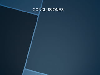 CONCLUSIONES
 