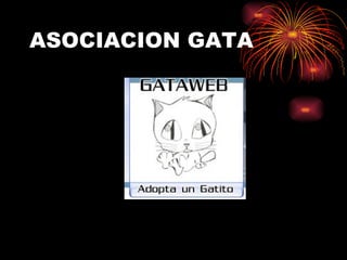 ASOCIACION GATA
 