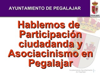 AYUNTAMIENTO DE PEGALAJAR



 Hablemos de
  Participación
  ciudadanda y
Asociacinismo en
    Pegalajar               1
 