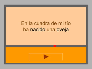 En la cuadra de mi tío
ha nacido una oveja

 