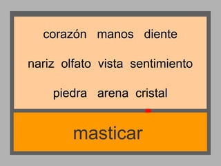 corazón manos diente
nariz olfato vista sentimiento
piedra arena cristal

masticar

 