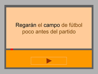 Regarán el campo de fútbol
poco antes del partido

 